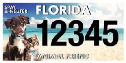 Florida Animal Friend